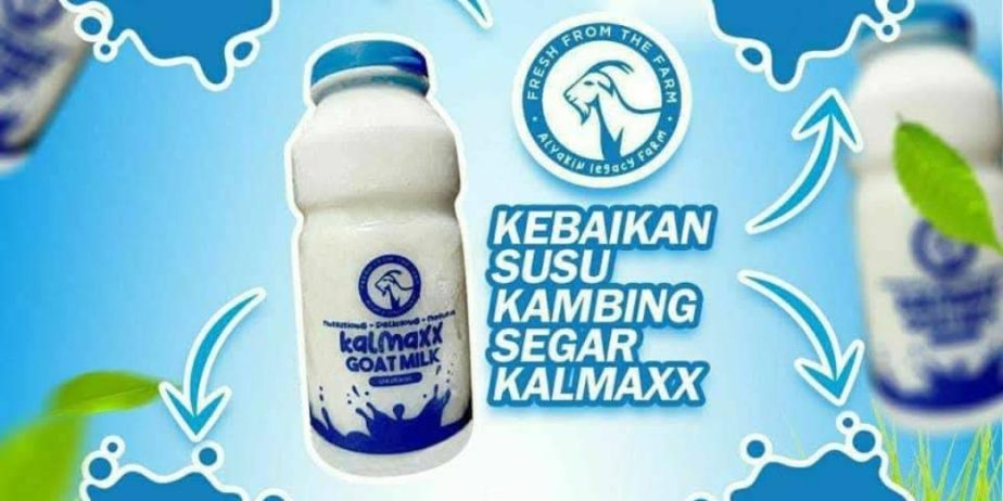 Susu Kambing Asli Fresh Dari Ladang